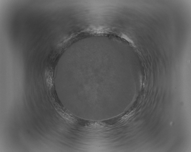 X0000072961348200607282245