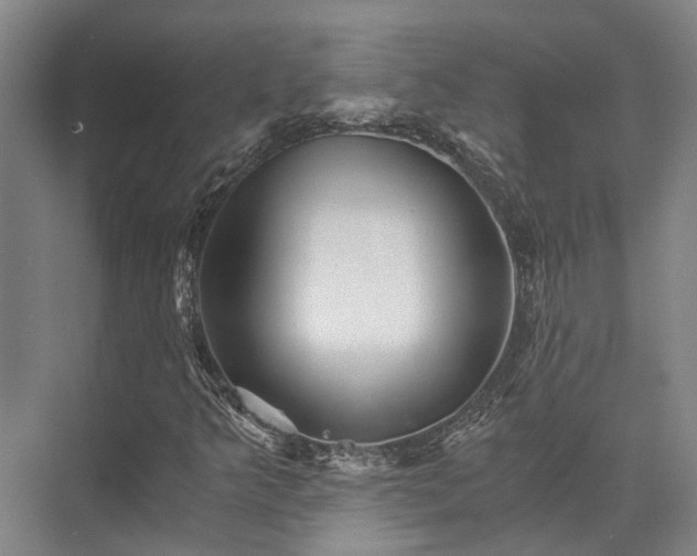 X0000072961349200607282245