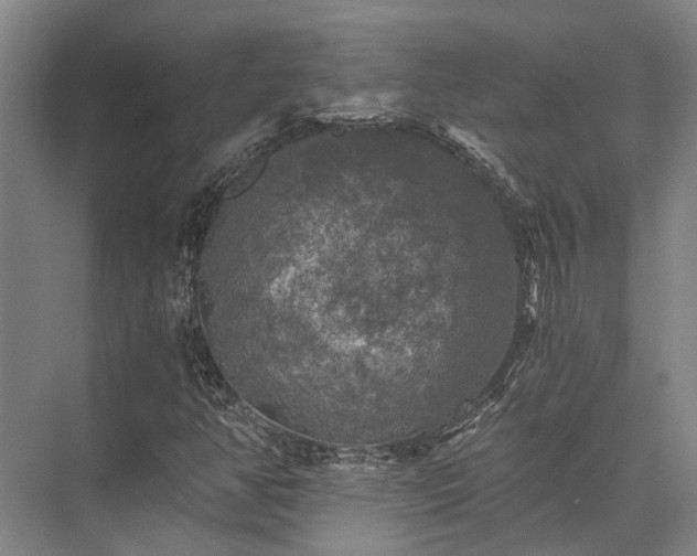 X0000072961350200607282245