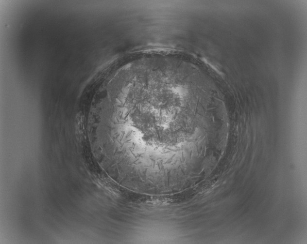 X0000072961351200607282245