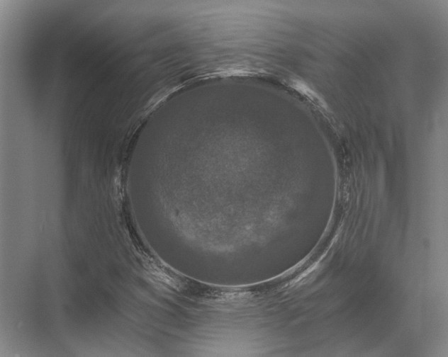 X0000072961353200607282245