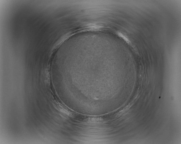 X0000072961354200607282245