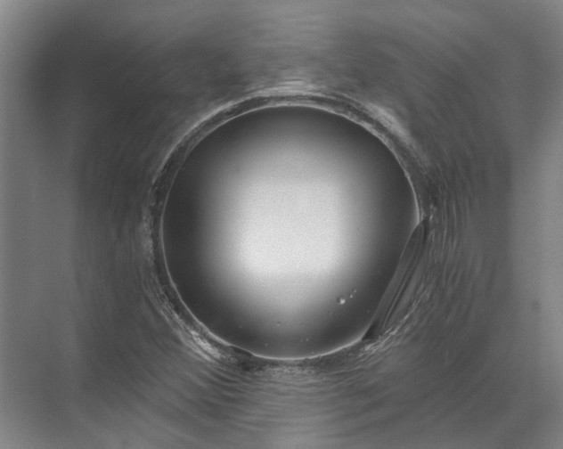 X0000072961356200607282245