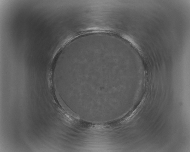 X0000072961357200607282245