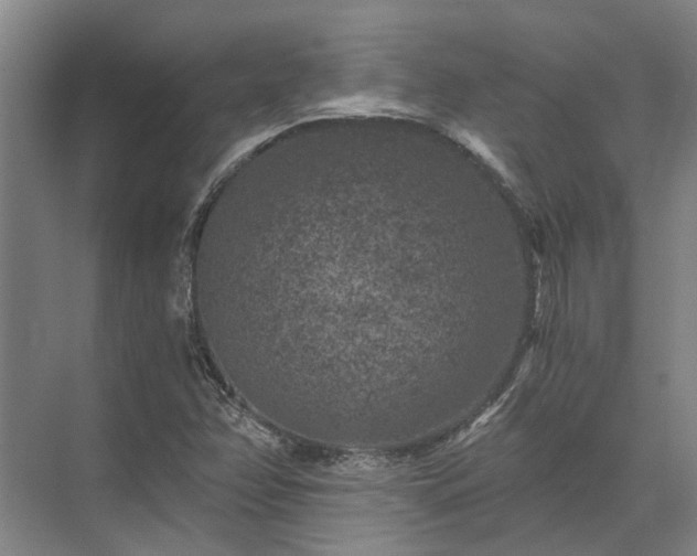 X0000072961358200607282245