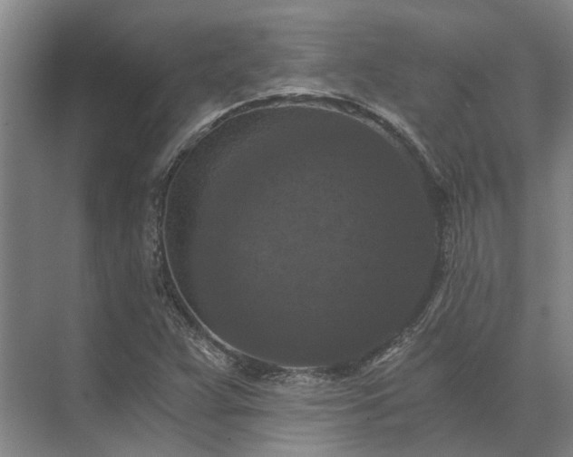 X0000072961359200607282245