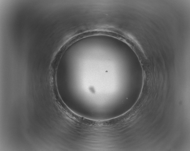 X0000072961360200607282245