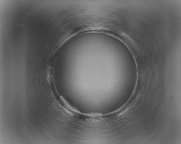 X0000072961361200607282245