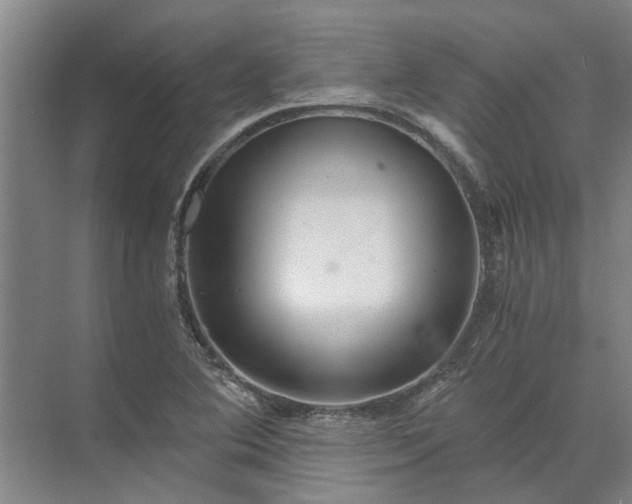 X0000072961364200607282245