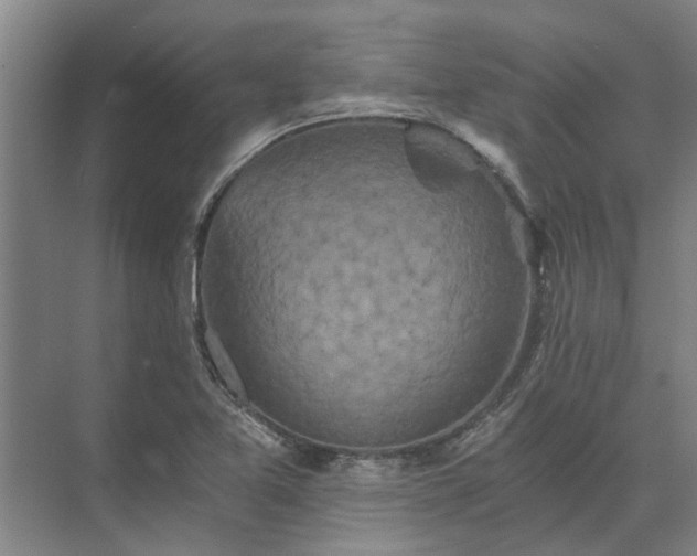 X0000072961365200607282245