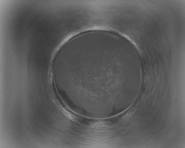 X0000072961367200607282245