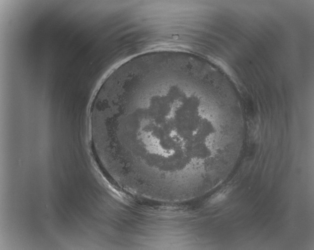 X0000072961371200607282245