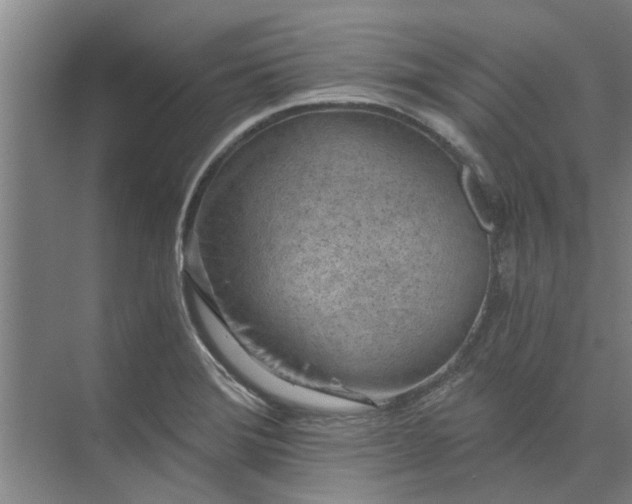 X0000072961372200607282245