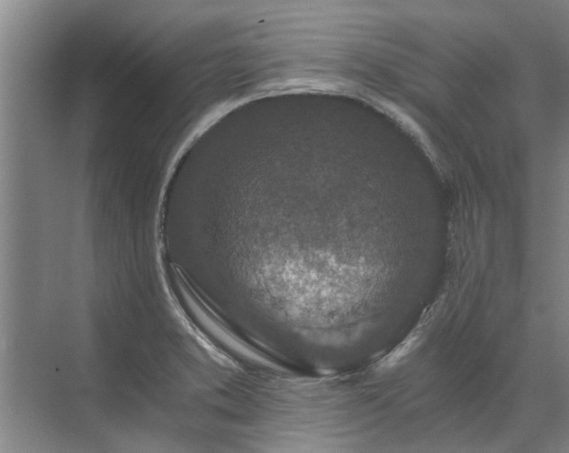 X0000072961373200607282245