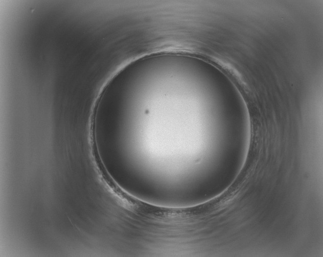 X0000072961375200607282245