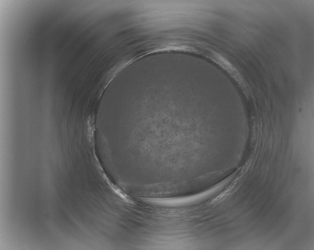 X0000072961377200607282245