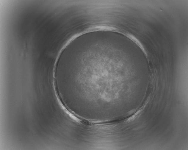 X0000072961381200607282245