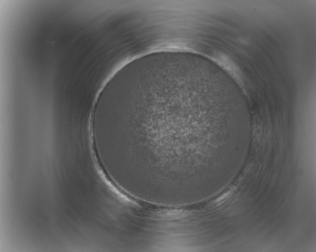 X0000072961382200607282245