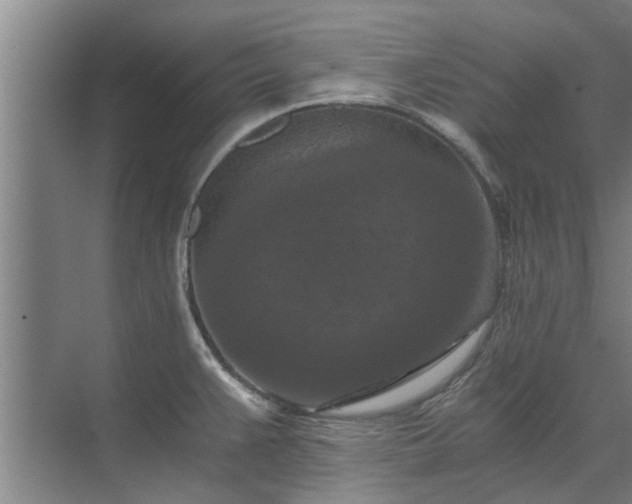 X0000072961383200607282245