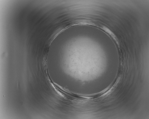 X0000072961385200607282244