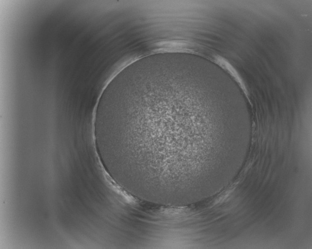 X0000072961386200607282244