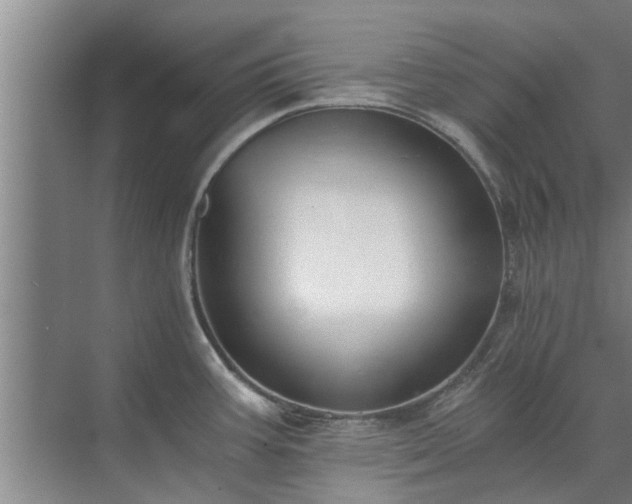 X0000072961387200607282244