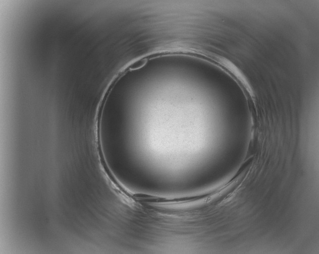 X0000072961388200607282244