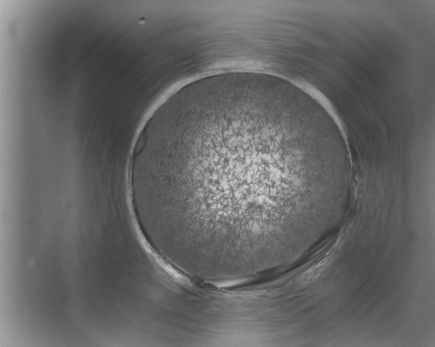 X0000072961389200607282244