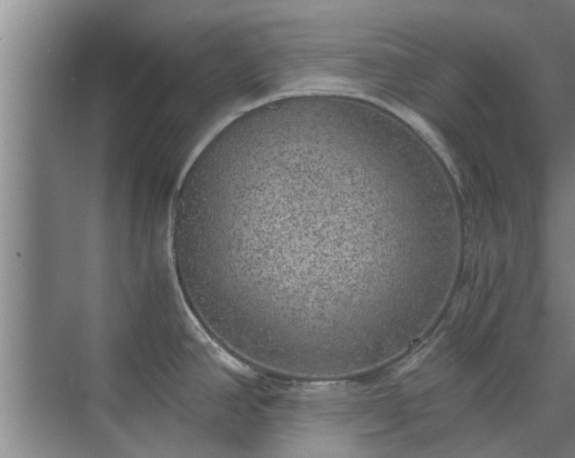 X0000072961390200607282244