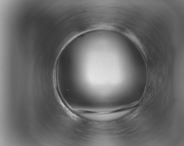 X0000072961391200607282244