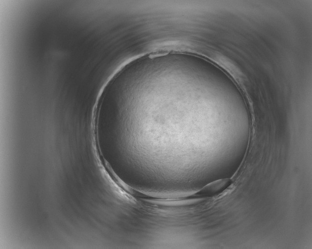 X0000072961392200607282244