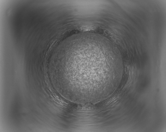 X0000072961393200607282244