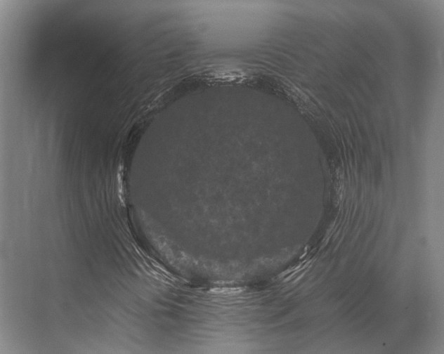 X0000072961394200607282244