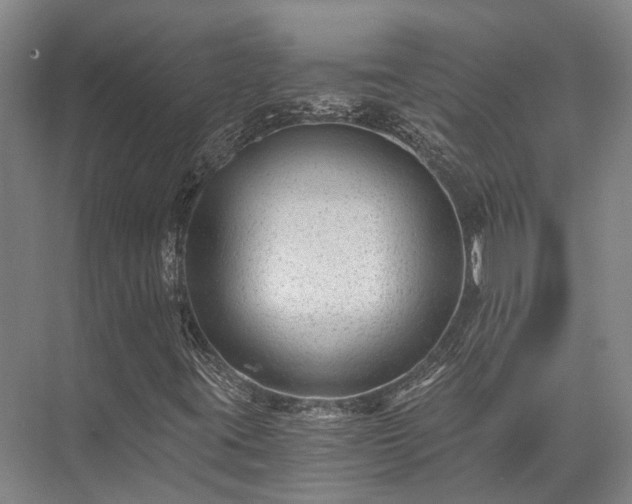 X0000072961395200607282244