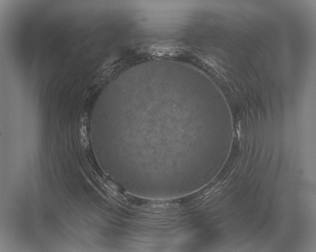 X0000072961396200607282244