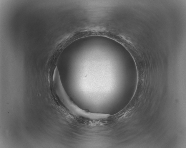 X0000072961398200607282244