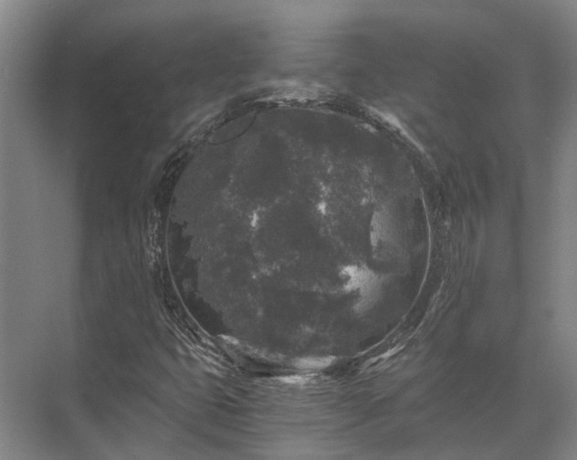 X0000072961399200607282244