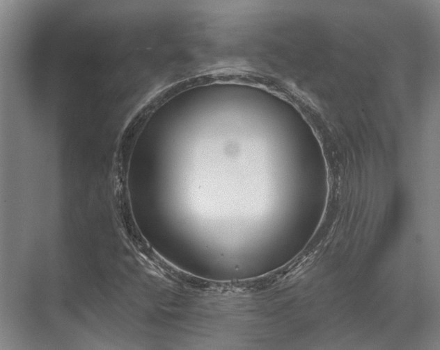 X0000072961400200607282244