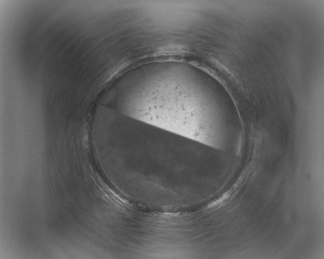 X0000072961401200607282244