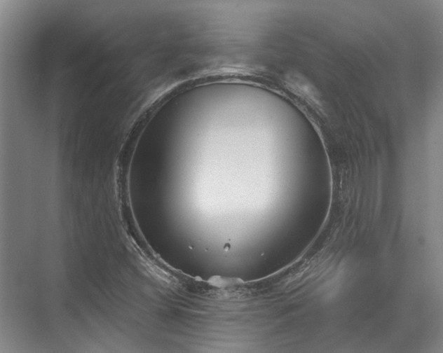 X0000072961404200607282244