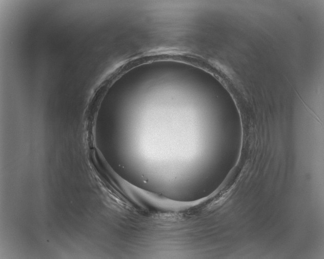 X0000072961406200607282244