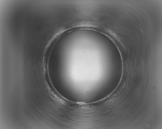 X0000072961408200607282244