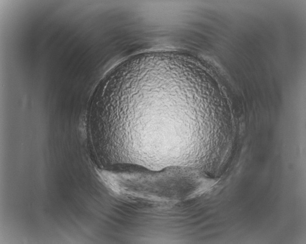 X0000072961409200607282244