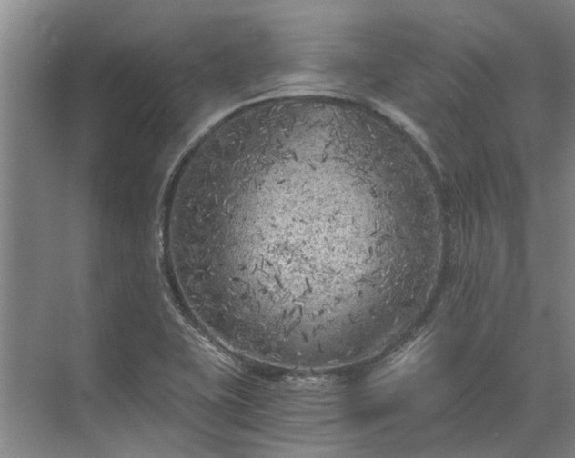 X0000072961415200607282244