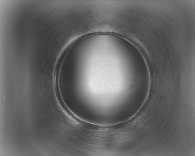 X0000072961416200607282244