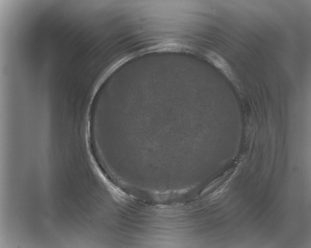 X0000072961418200607282244