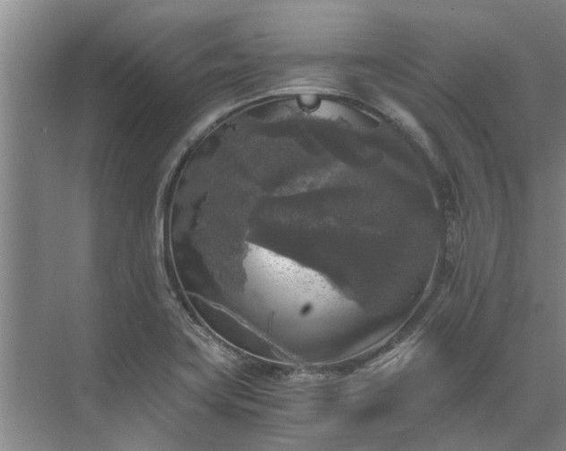 X0000072961419200607282244