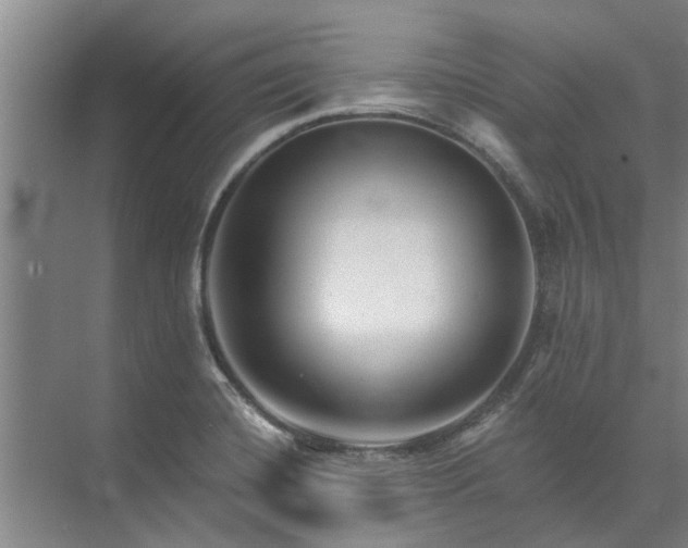 X0000072961420200607282244