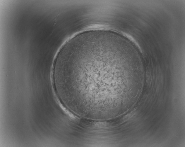 X0000072961421200607282244