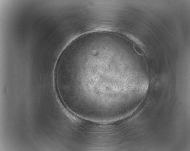 X0000072961423200607282244